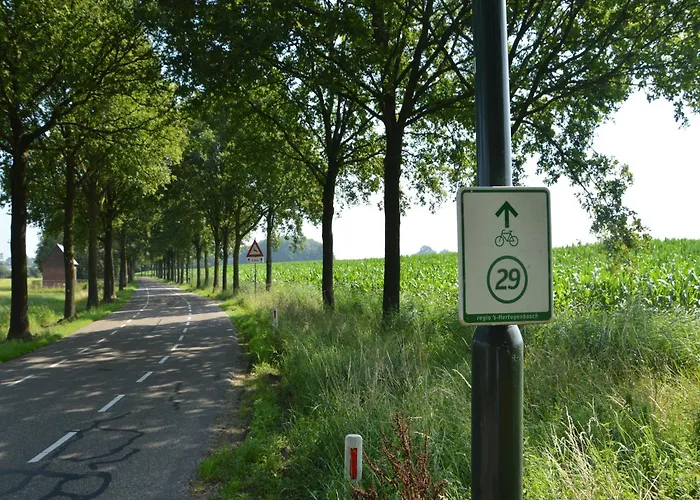 Pleasant Near The Centre Of הארן