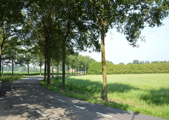 Pleasant Near The Centre Of * הארן